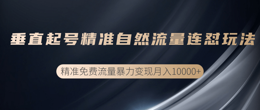 垂直起号精准自然流量连爆玩法，精准引流暴力变现月入10000+-一起去尚学资源库