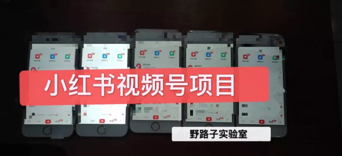 野路子小红书视频号1.0项目，直接上手操作就能赚钱的视频号项目-一起去尚学资源库