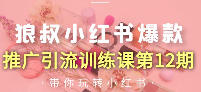 狼叔小红书爆款推广引流训练课第12期，手把手带你玩转小红书-一起去尚学资源库
