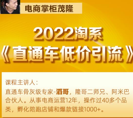 茂隆2022直通车低价引流玩法，教大家如何低投入高回报的直通车玩法-一起去尚学资源库