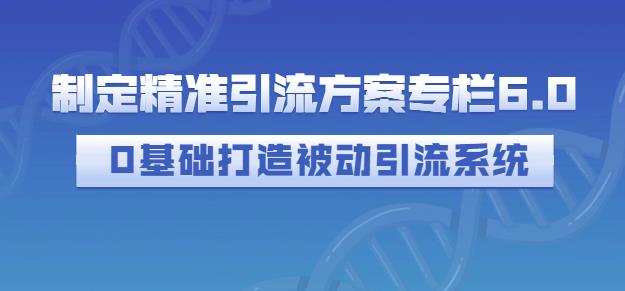 制定精准引流方案专栏6.0，0基础打造被动引流系统-一起去尚学资源库