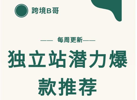 【跨境B哥】独立站潜力爆款选品推荐，测款出单率高达百分之80-一起去尚学资源库