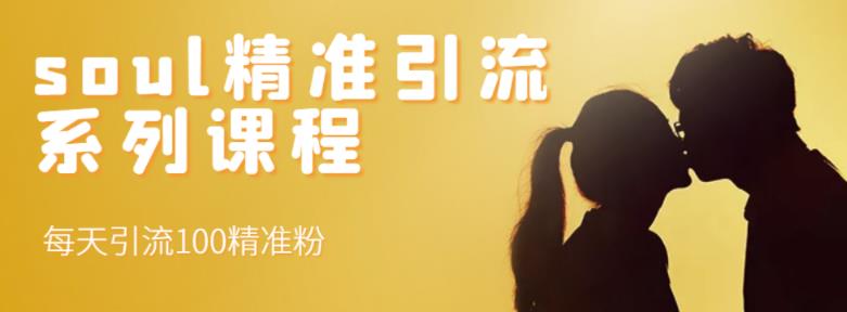 soul精准引流系列课程，每天引流100精准粉-一起去尚学资源库