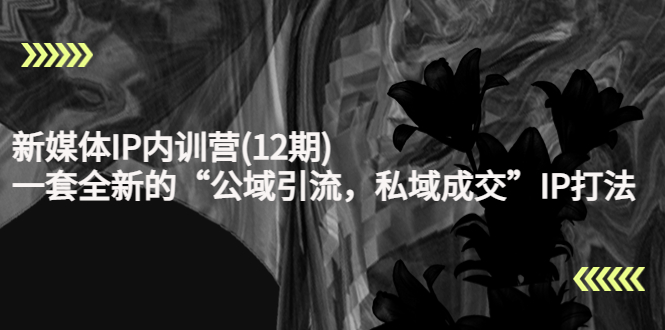 新媒体IP内训营(12期)，一套全新的“公域引流，私域成交”IP打法，直接带走-一起去尚学资源库