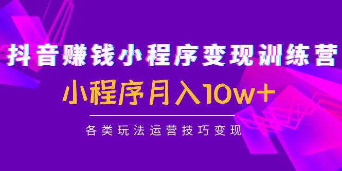 抖音赚钱小程序变现训练营：小程序月入10w+各类玩法运营技巧变现-一起去尚学资源库