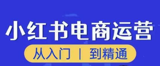 顽石小红书电商高阶运营课程，从入门到精通，玩法流程持续更新-一起去尚学资源库